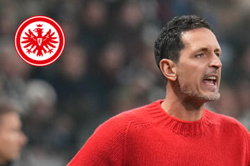 Duell gegen Ex-Klub: Eintracht-Coach Toppmöller spricht Garantie aus!