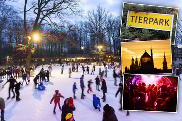 Dresden: Noch nichts vor am Samstag? Diese 8 Tipps helfen Euch