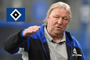 HSV-Blog: Clublegende verlässt den Verein
