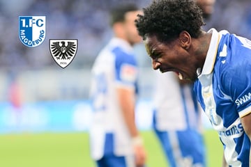 1. FC Magdeburg verspielt den Aufstieg? "Wir sind bedient, das war scheiße!"