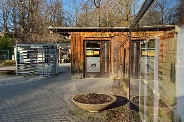 Chemnitz: Nach Vogelgrippe-Ausbruch: Tierpark Chemnitz kehrt zurück zur Normalität