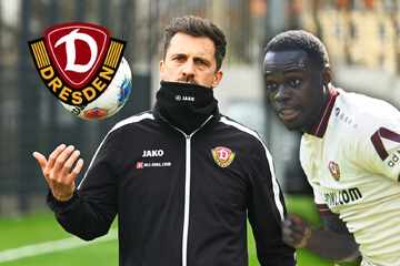 Wechselgerüchte um Amoako: Was Stamm dem Dynamo-Juwel raten würde