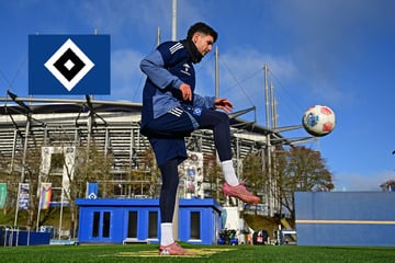 HSV-Blog: Auf dieses Trio muss der HSV in Augsburg verzichten