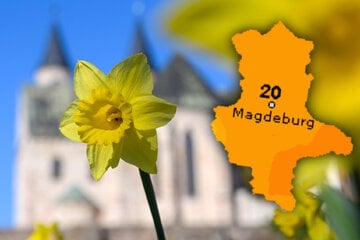 Frühlingsgefühle in Sachsen-Anhalt: Sonniges und warmes Wetter versüßt das Wochenende