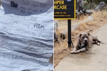 Als Frau Zettel liest, den ausgesetzter Hund dabei hat, bricht ihr endgültig das Herz