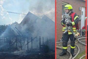 Bewohner verlieren nach Brand ihr Zuhause: Einsatzkräfte befreien Katzen aus den Flammen
