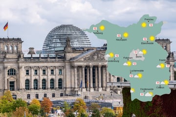 Sonne und milde Temperaturen: Freundlicher Wochenstart in Berlin und Brandenburg