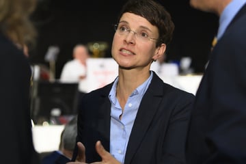 Frauke Petry: Ex-AfD-Chefin will neue Partei gründen