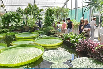 Dresden: Botanischer Garten: Worüber sich Besucher bis heute oft beschweren
