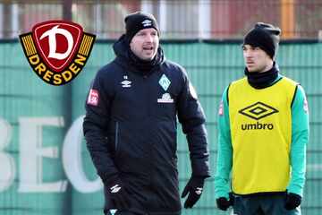 Dynamos Straudi trifft auf "akribischen" Ex-Coach Kohfeldt: "Klar kennt er mich noch"