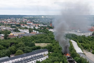 Mann möchte Unkraut beseitigen: Plötzlich steht die halbe Einfahrt in Flammen