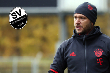 SV Sandhausen: Dieser Coach soll den Klub zurück in die Erfolgsspur führen