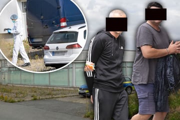 Tausende Pflanzen gefunden, Drahtzieher in Haft: Polizei spürt riesige Cannabis-Anlage auf
