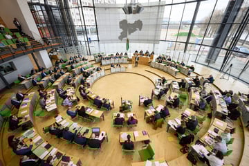 Abgeordnete streiten weiter übers eigene Gehalt: Experten gegen Erhöhung