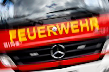 "Ungewöhnlicher Einsatz": Rentner-Ehepaar in Auto gefangen