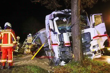 Mitten in der Nacht: Lkw kracht gegen einen Baum