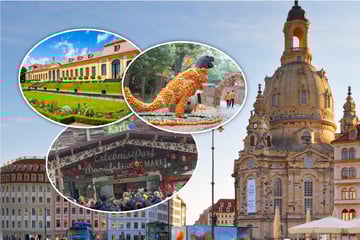 Dresden: Mit diesen neun Tipps wird Dir am Feiertag nicht langweilig