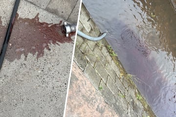 Rotes Wasser, tote Fische: Idyllischer Bach dreist verschmutzt