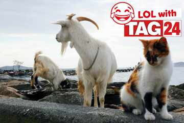 Joke of the Day for March 23, 2026: A Monday mashup of funny