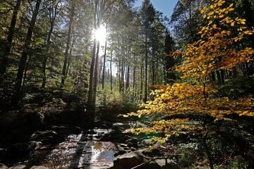 Heiter bis sonniges Wetter am Dienstag, doch dann wendet sich das Klima-Blatt