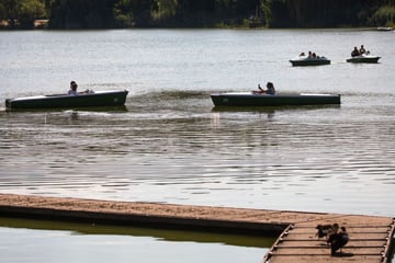 Stuttgart: Niedrigwasser in Stuttgarter Seen und Bächen: Das sind die Auswirkungen