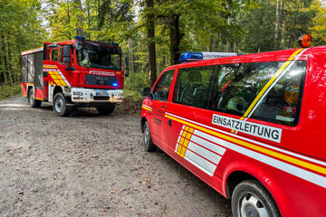 Suche nach Vermissten: Zwei Frauen in Wald verschwunden