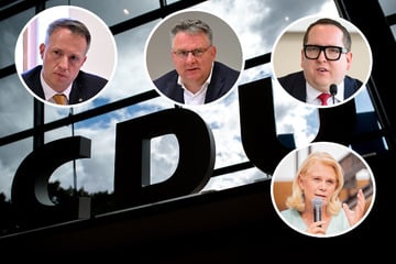 Lockerung der Brandmauer: CDU-Politiker werben für anderen Umgang mit AfD