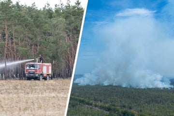 Ermittlungen abgeschlossen: Darum brannte die Gohrischheide