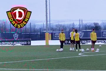 Dynamo-Dresden-Blog: Standard-Training ohne drei Stammspieler