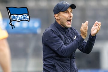 Richtungsweisendes Spiel für Hertha? Darum will Leitl davon nichts wissen