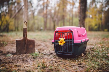 Hund im Garten begraben Darf man das?