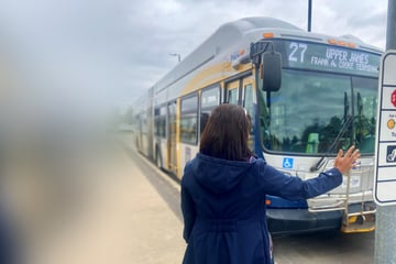 Mit zehn Fahrgästen an Bord: Mann klaut Linienbus, fährt Haltestellen an, kontrolliert Tickets