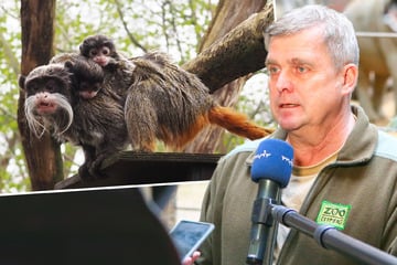 "Das ist der kleine Bernhard": Zoo Leipzig macht Urgestein süßes Abschiedsgeschenk