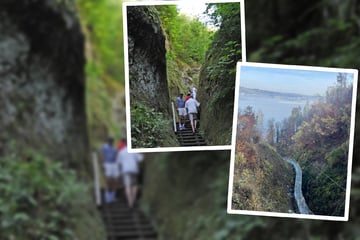 Unglück riss Frau in den Tod: Beliebte Attraktion öffnet nach elf Jahren wieder