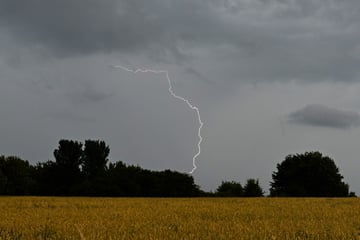 Der Herbst schickt erste Grüße: Starkregen, Gewitter und viel Wind erwartet
