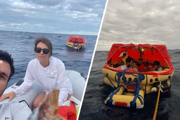 Wal kollidiert mit Segelboot, es sinkt innerhalb von Minuten: Crew kann sich in letzter Sekunde retten!