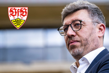 VfB-Präsident Vogt schließt Rücktritt aus und holt zum Gegenschlag aus
