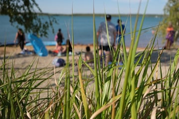 Wetter in Leipzig: Der Spätsommer zeigt sich von seiner besten Seite