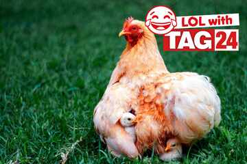 Joke of the Night for April 13, 2026: Wind down with a laugh