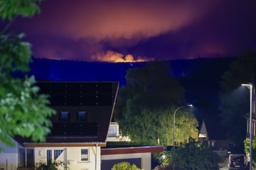 Mega-Waldbrand in NRW: Noch keine Rückkehr für Evakuierte in Monschau