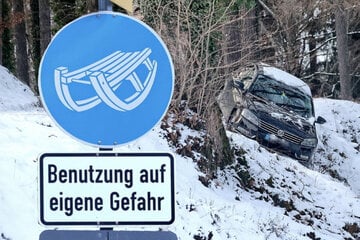 Navi vertraut und auf Rodelbahn geraten: Frau und Hund entkommen knapp Fahrzeugabsturz