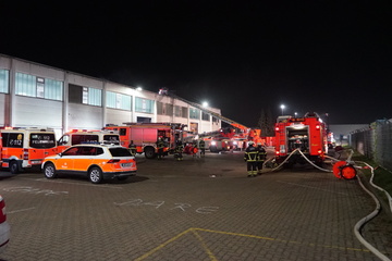 Hamburg: Lagerhalle von Pandora in Flammen, Löscharbeiten dauern an