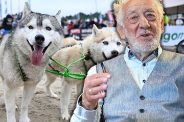 Mit 90 noch Vollgas! Didi Hallervorden düst beim Schlittenhunderennen über Usedoms Strand