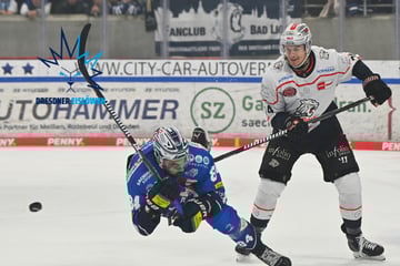 Fan-Frust bei den Eislöwen nach 1:5 gegen Ice Tigers: "Wir wollen Euch kämpfen sehen!"
