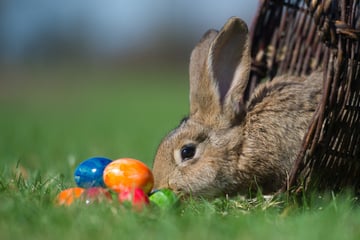 Warm, nass, kühl? So wird das Wetter über die Ostertage in NRW