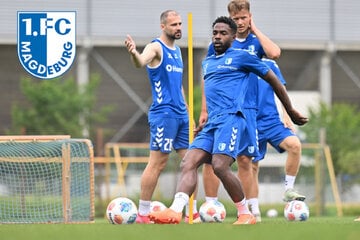 Testspiel von Magdeburg gegen Zürich verlegt