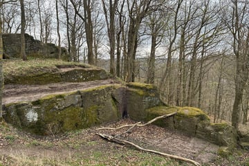 Illegale Ausgrabung: Mann legt Burgreste ohne Erlaubnis frei