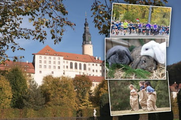 Dresden: Ein Sonntag, viele Möglichkeiten: Hier sind acht Tipps für Dresden und Umgebung