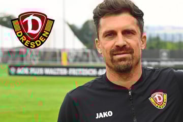 So formte Dynamo-Cheftrainer Stamm sein Team zum Aufsteiger