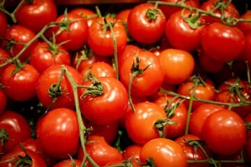 Die Tomaten aus dem Kühlschrank schmecken nicht? So kannst Du Tomaten lagern